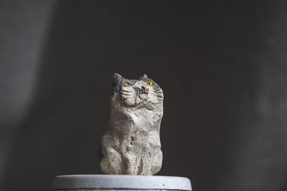 お座り猫【猫_1012】 | 8枚目