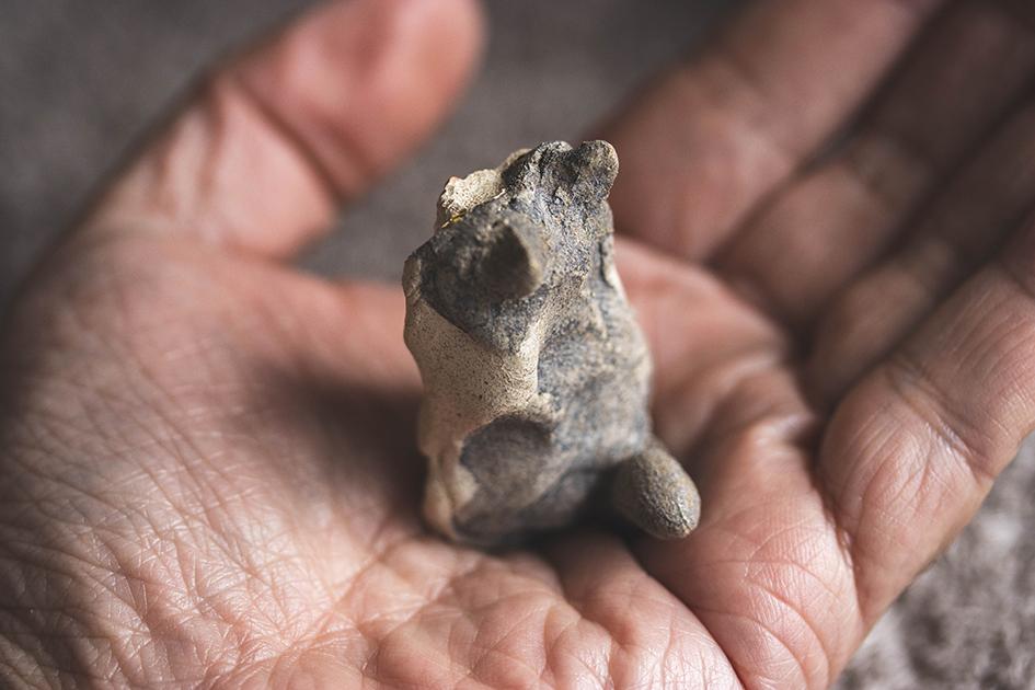 お座り猫【猫_1012】 | 9枚目