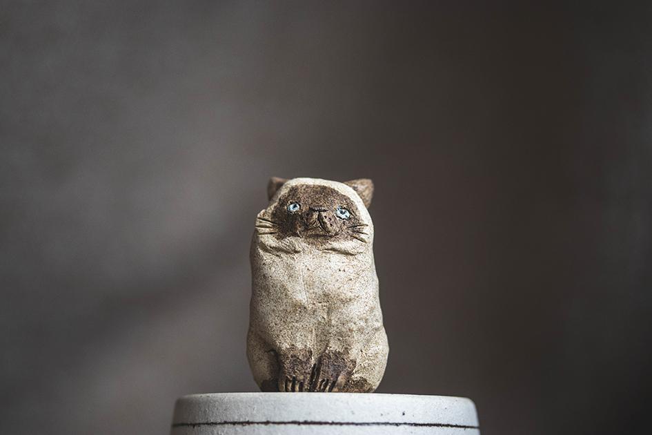 シャム【猫_1013】 | 10枚目