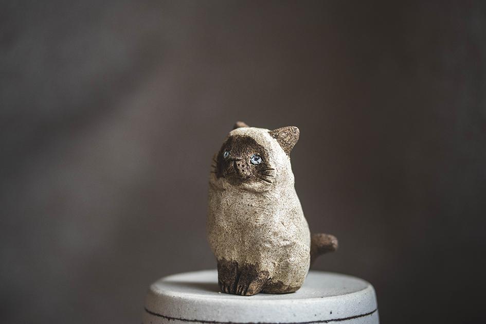 シャム【猫_1013】 | 5枚目