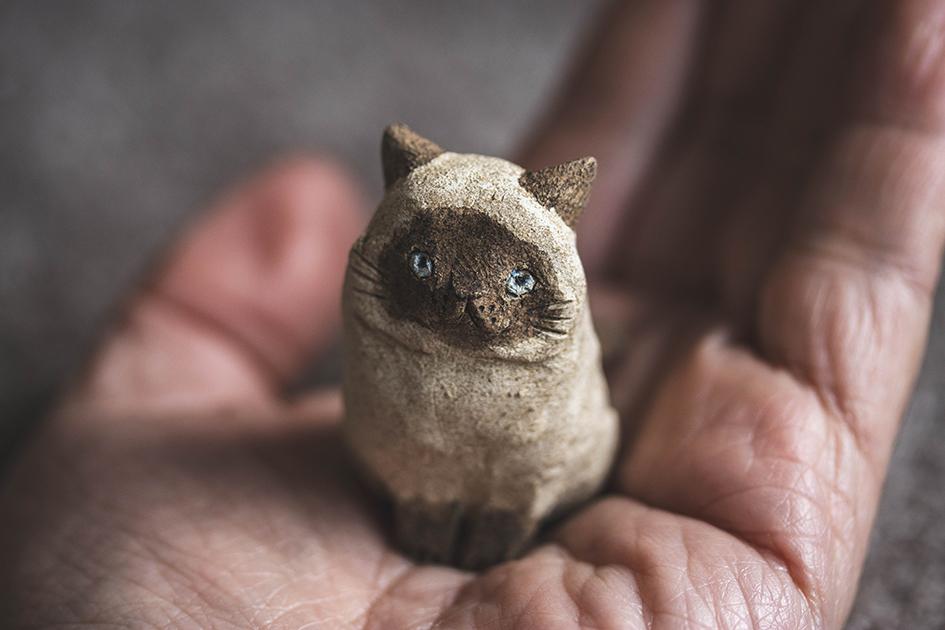 シャム【猫_1013】 | 7枚目