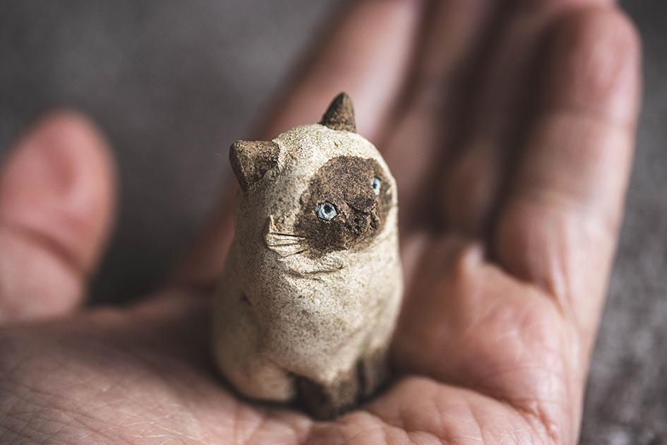 シャム【猫_1013】 | 8枚目