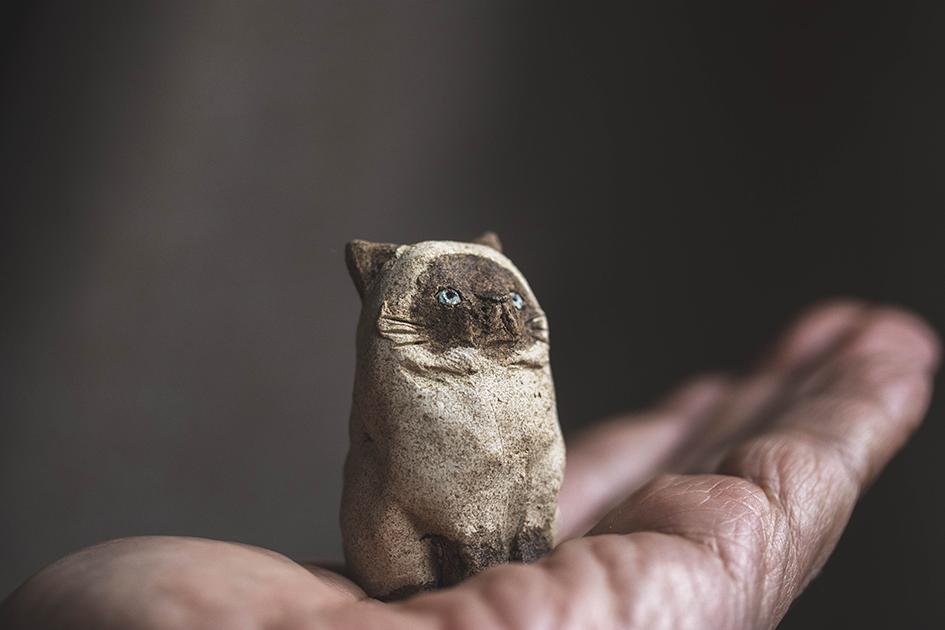 シャム【猫_1013】 | 9枚目