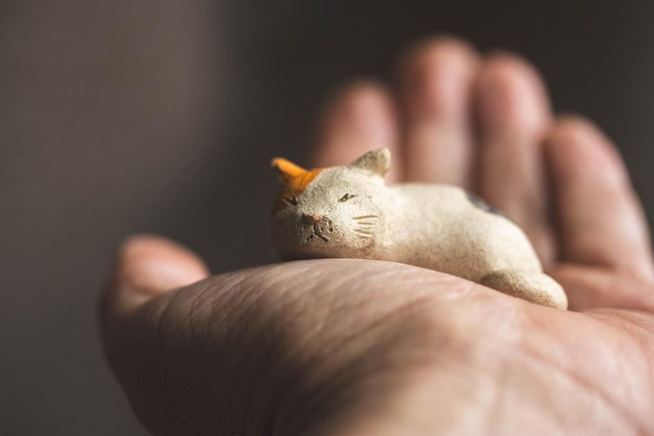 すやすや三毛【猫_1014】 | 7枚目