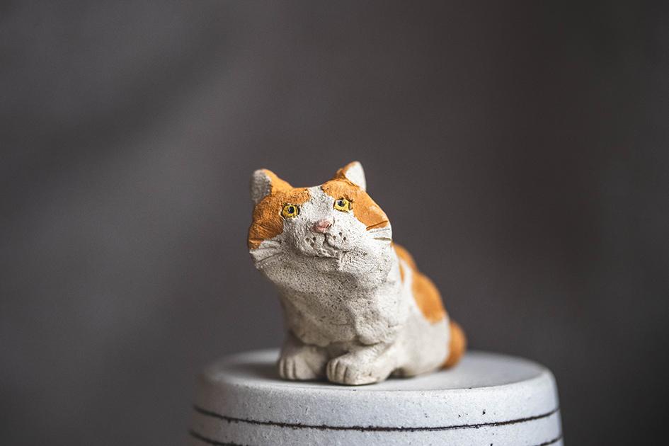 みつめるチャーちゃん【猫_1015】