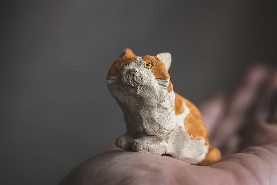 みつめるチャーちゃん【猫_1015】 | 10枚目