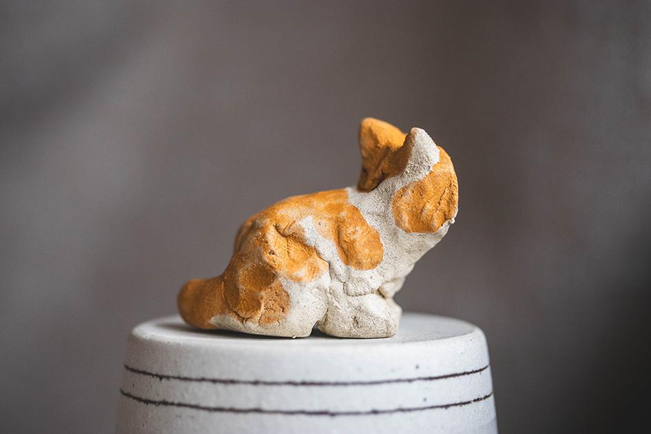 みつめるチャーちゃん【猫_1015】 | 5枚目