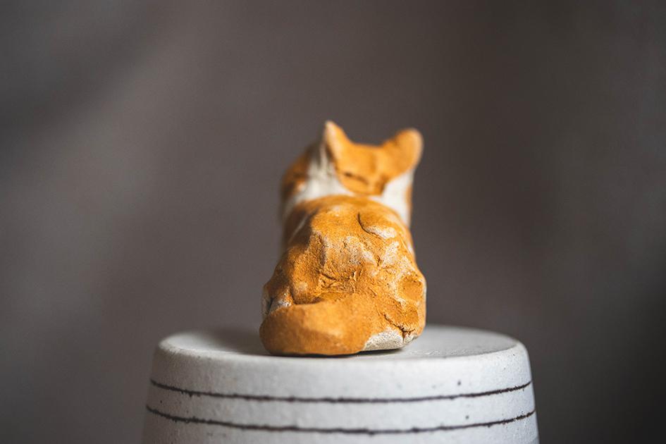 みつめるチャーちゃん【猫_1015】 | 6枚目