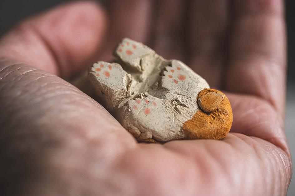 みつめるチャーちゃん【猫_1015】 | 8枚目