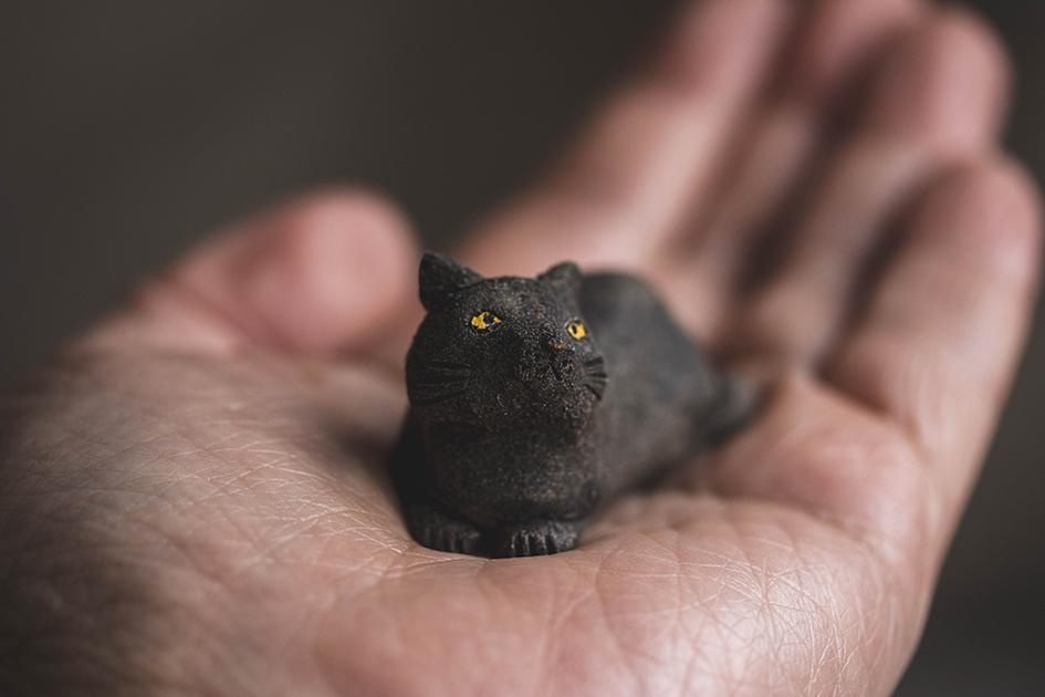 クロちゃん【猫_1017】