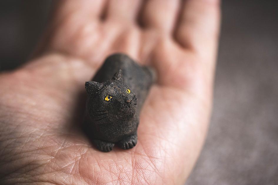 クロちゃん【猫_1017】 | 10枚目