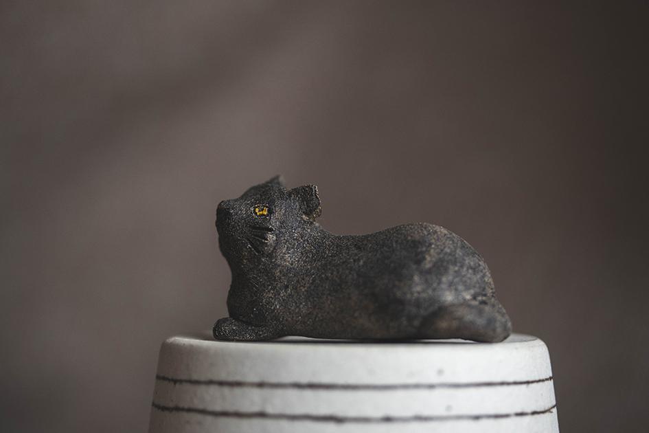 クロちゃん【猫_1017】 | 4枚目