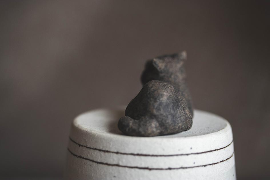 クロちゃん【猫_1017】 | 5枚目