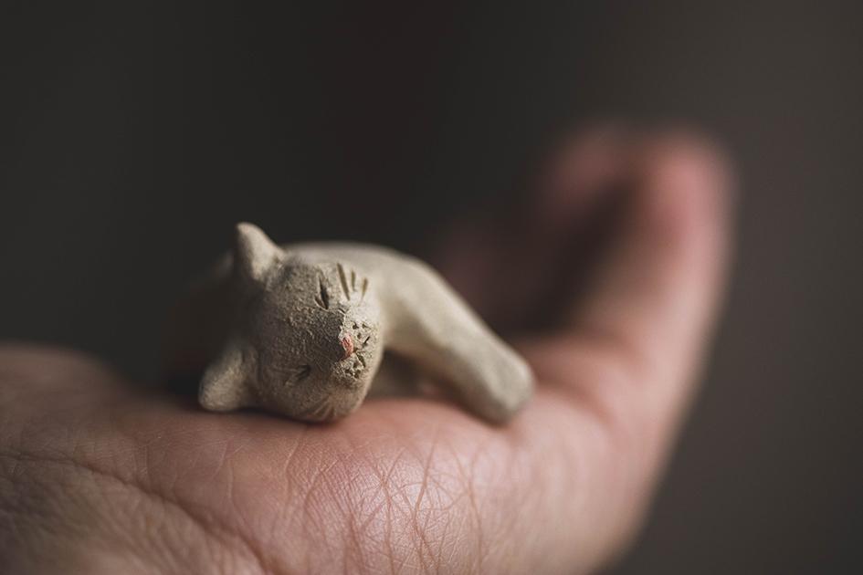 すやすやのシロちゃん【猫_1018】