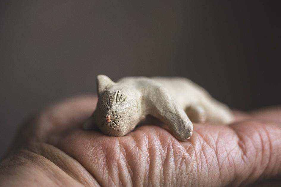 すやすやのシロちゃん【猫_1018】 | 2枚目