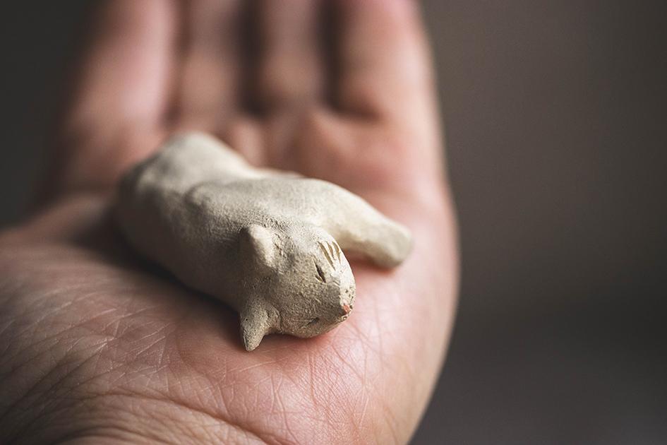 すやすやのシロちゃん【猫_1018】 | 3枚目