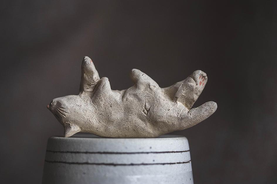 すやすやのシロちゃん【猫_1018】 | 5枚目