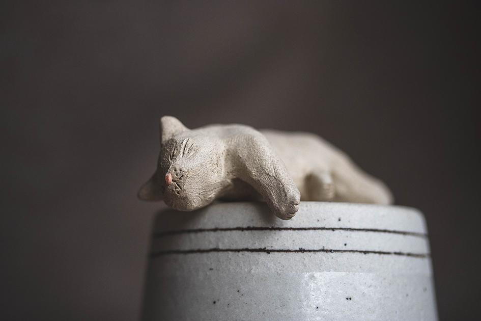 すやすやのシロちゃん【猫_1018】 | 6枚目