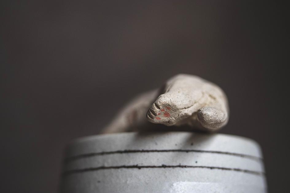 すやすやのシロちゃん【猫_1018】 | 7枚目