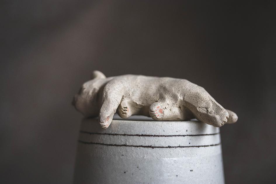 すやすやのシロちゃん【猫_1018】 | 8枚目