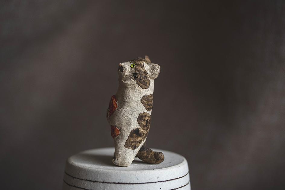 おさかなうれしい【猫_1019】 | 5枚目