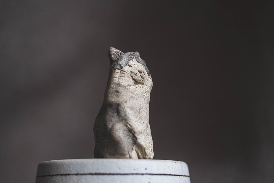 おすまし猫【猫_1020】 | 10枚目