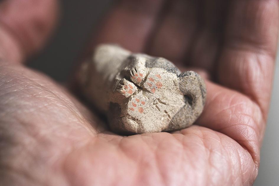 おすまし猫【猫_1020】 | 6枚目