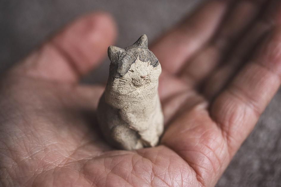 おすまし猫【猫_1020】 | 8枚目