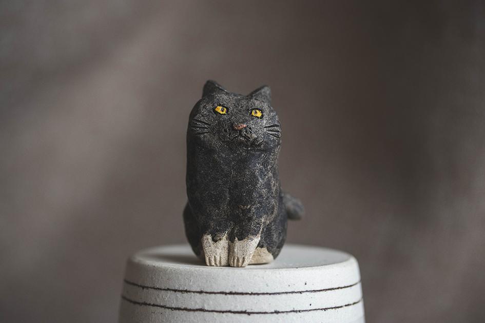 シロタビにゃん【猫_1022】