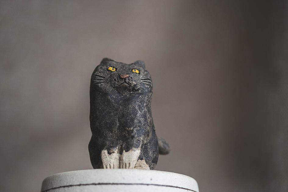 シロタビにゃん【猫_1022】 | 10枚目