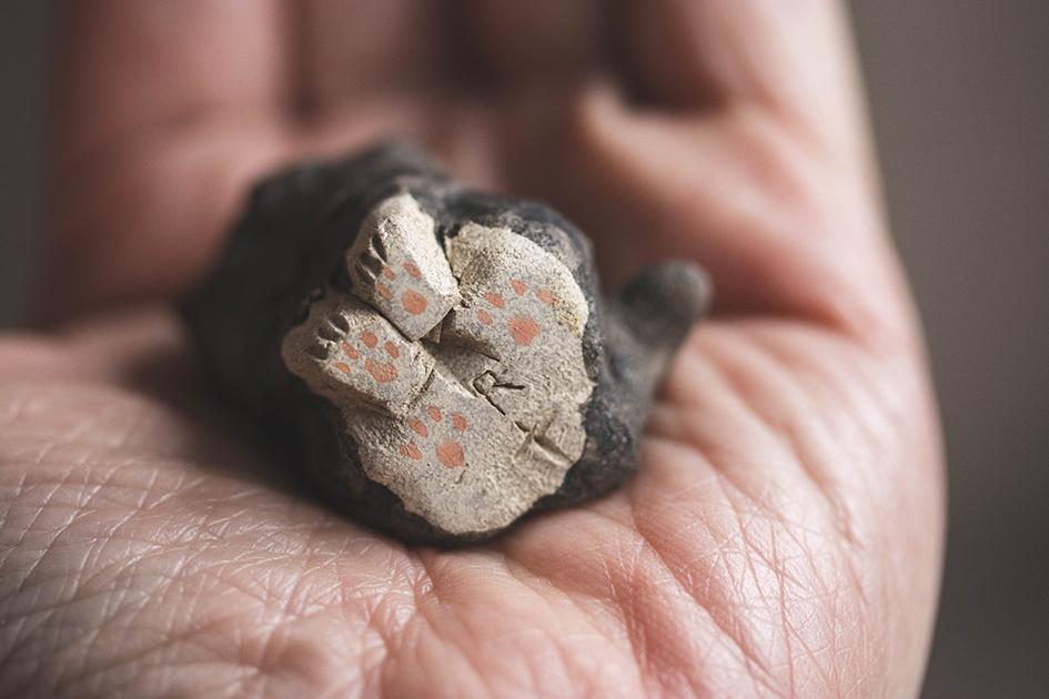 シロタビにゃん【猫_1022】 | 7枚目