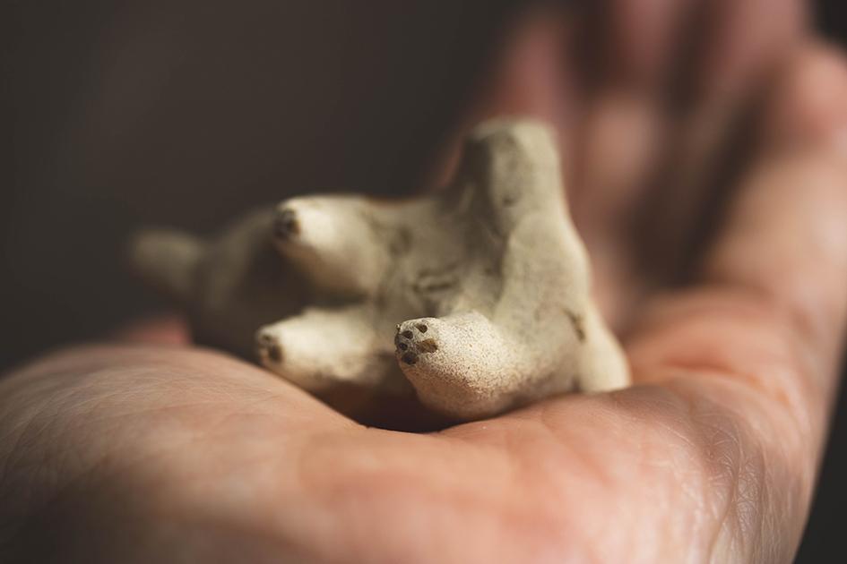 ※Mihoさんご予約作品　シッコシッコ柴犬【犬_126】 | 7枚目