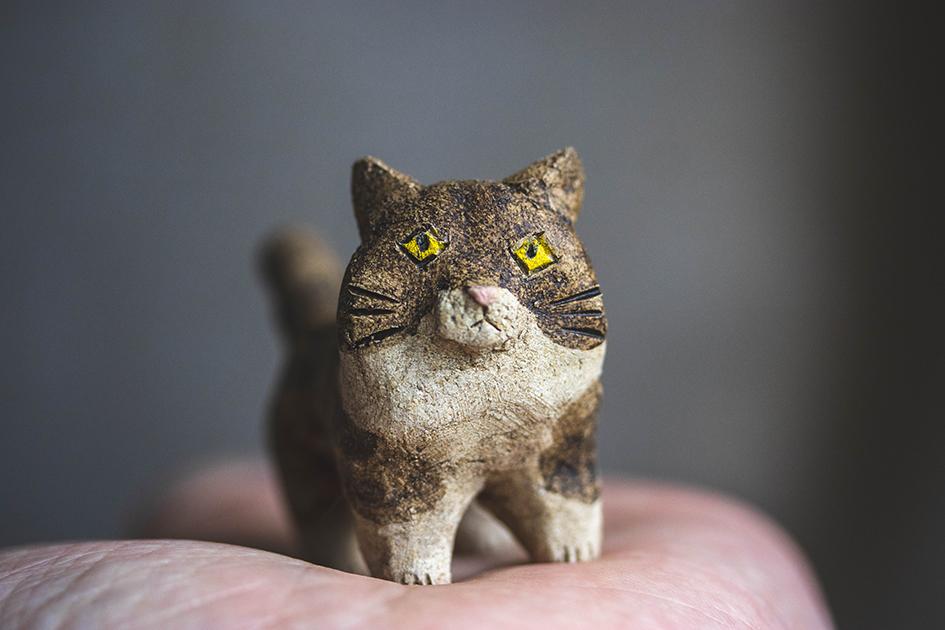 見つめる猫【猫_927】