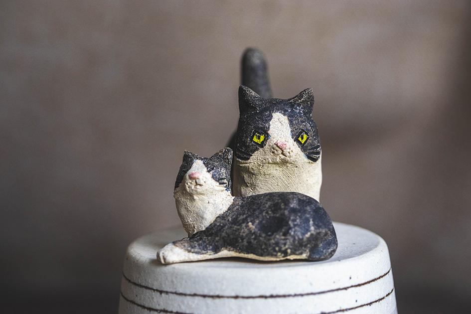 二匹のハチワレ猫【猫_925】1枚目の画像