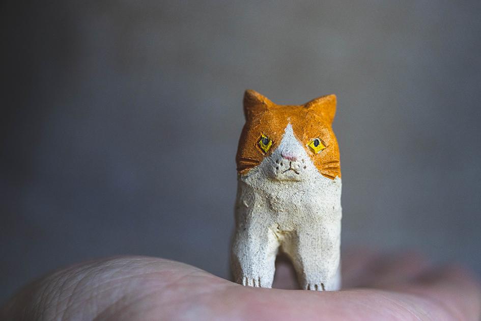 チャー【猫_920】