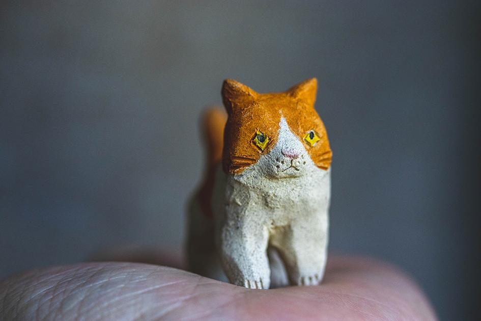 チャー【猫_920】 | 2枚目