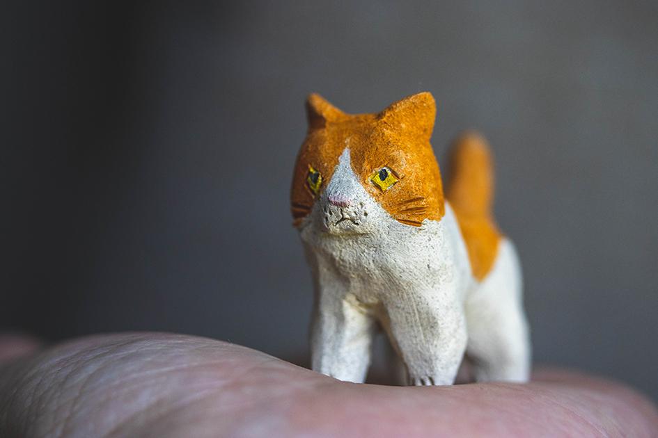 チャー【猫_920】 | 3枚目