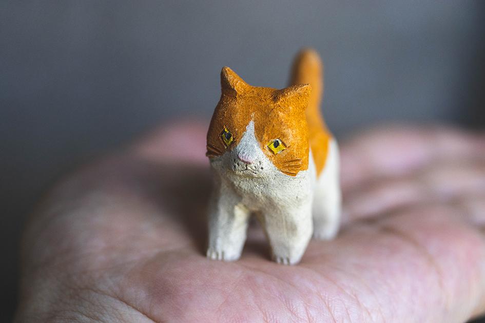 チャー【猫_920】 | 8枚目