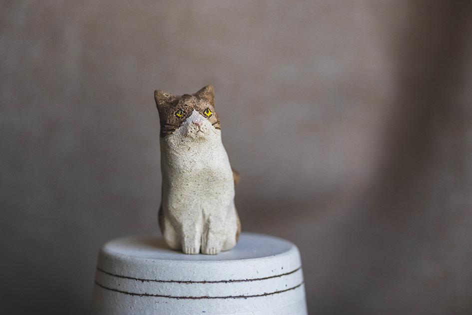 お座り猫【猫_917】1枚目の画像