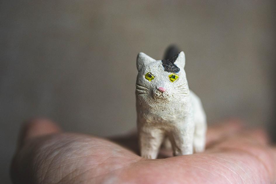 ぶっちゃー猫【猫_916】1枚目の画像