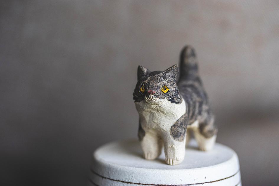 猫【猫_915】
