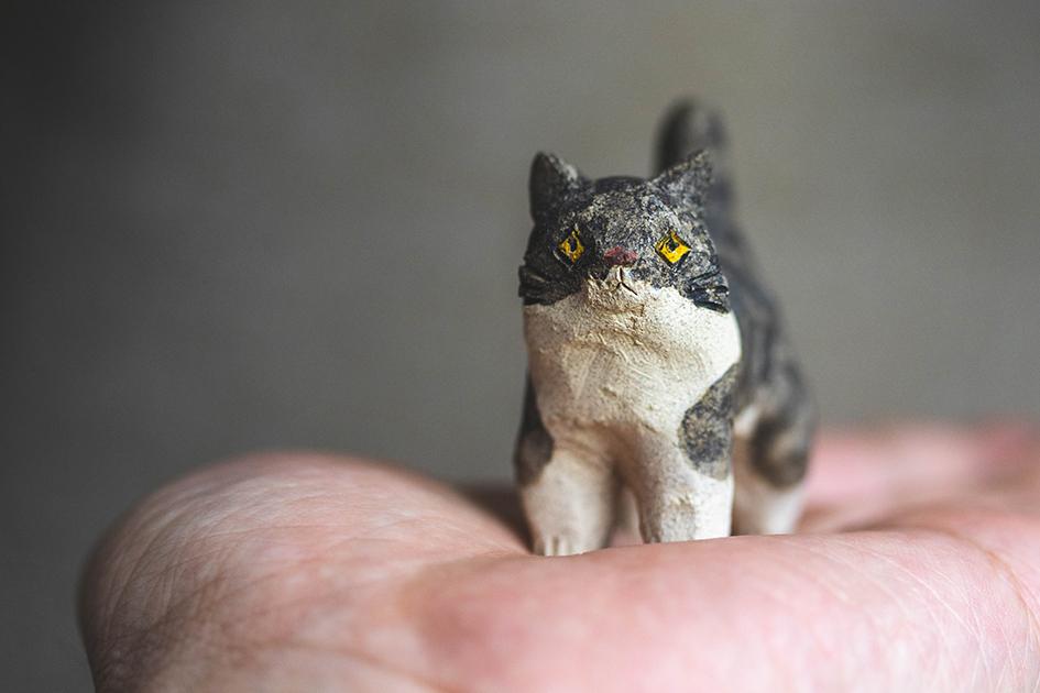 猫【猫_915】 | 3枚目