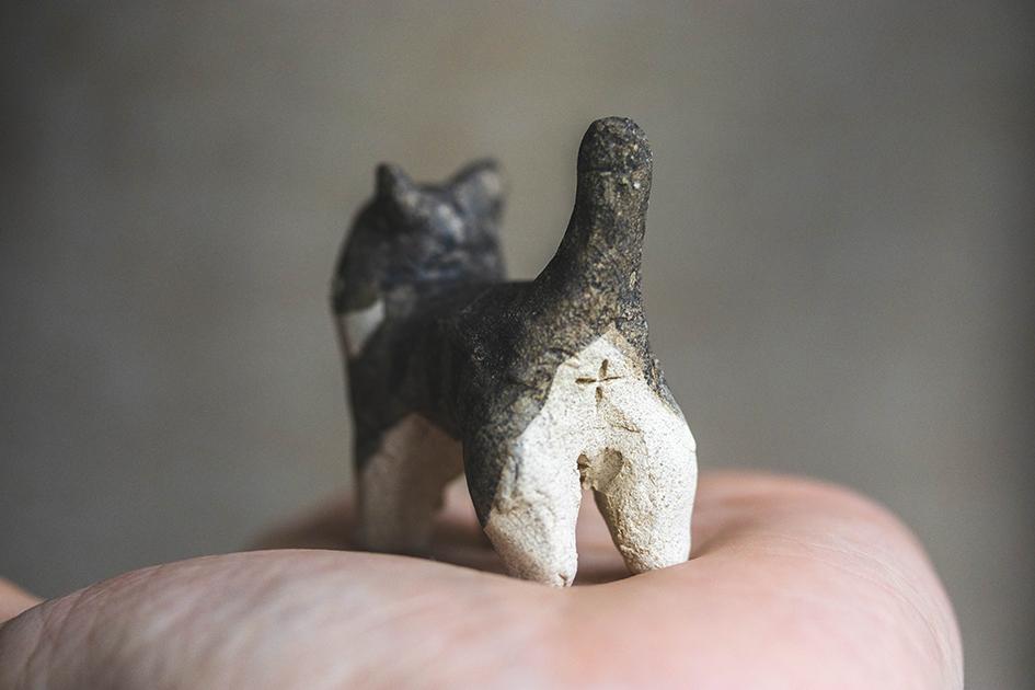 猫【猫_915】 | 4枚目