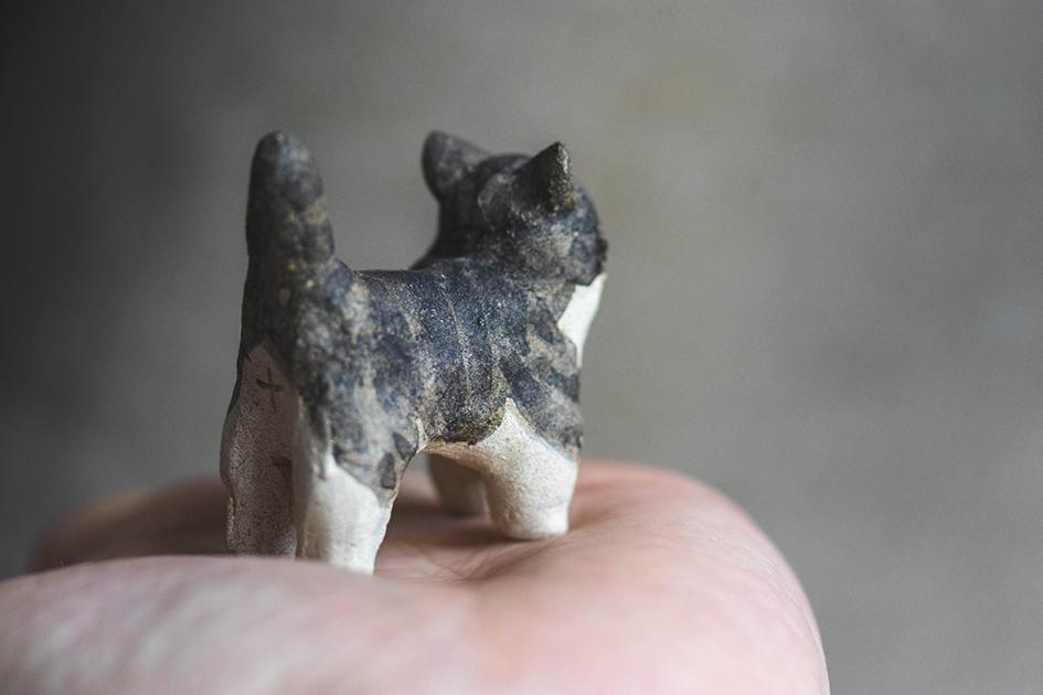 猫【猫_915】 | 5枚目