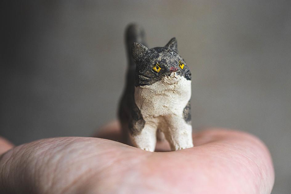 猫【猫_915】 | 6枚目