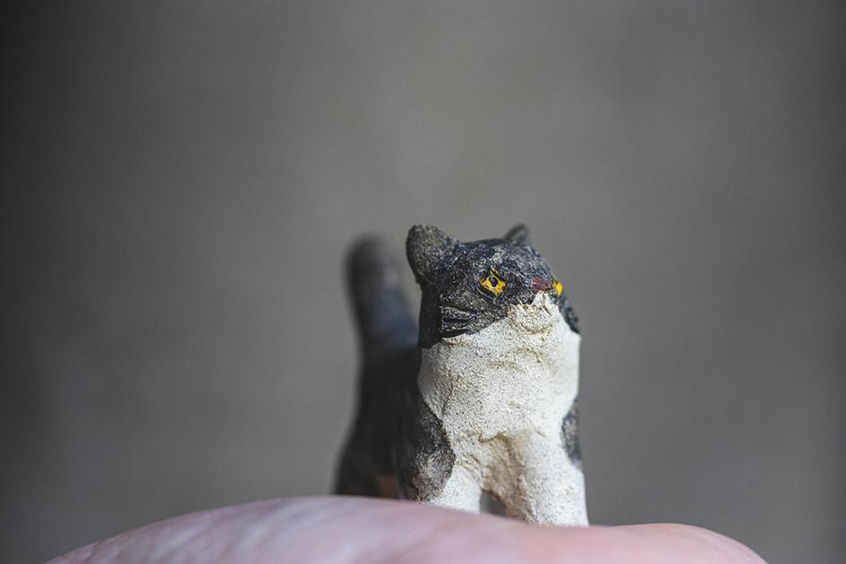 猫【猫_915】 | 8枚目