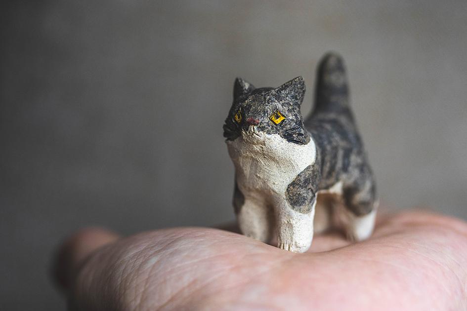 猫【猫_915】 | 9枚目