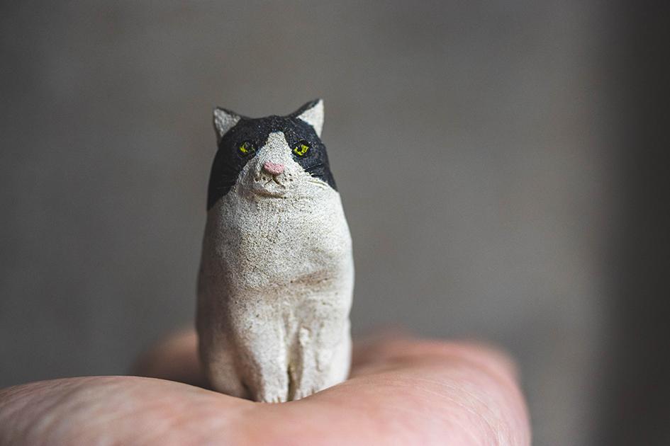 お座り猫【猫_914】1枚目の画像