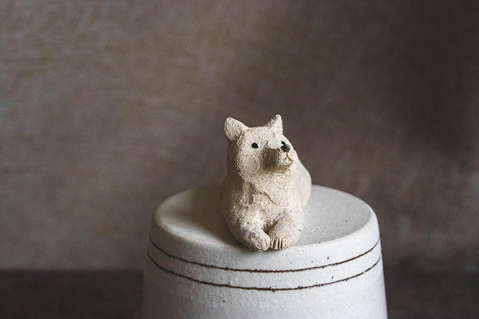 見つめる犬【犬_104】