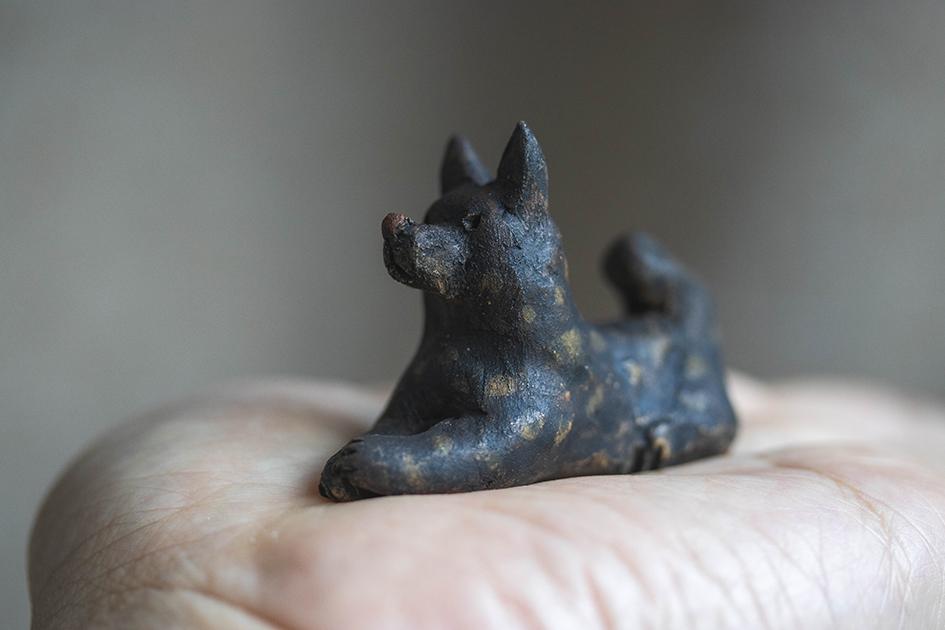 伏せ座りの犬【犬_101】1枚目の画像